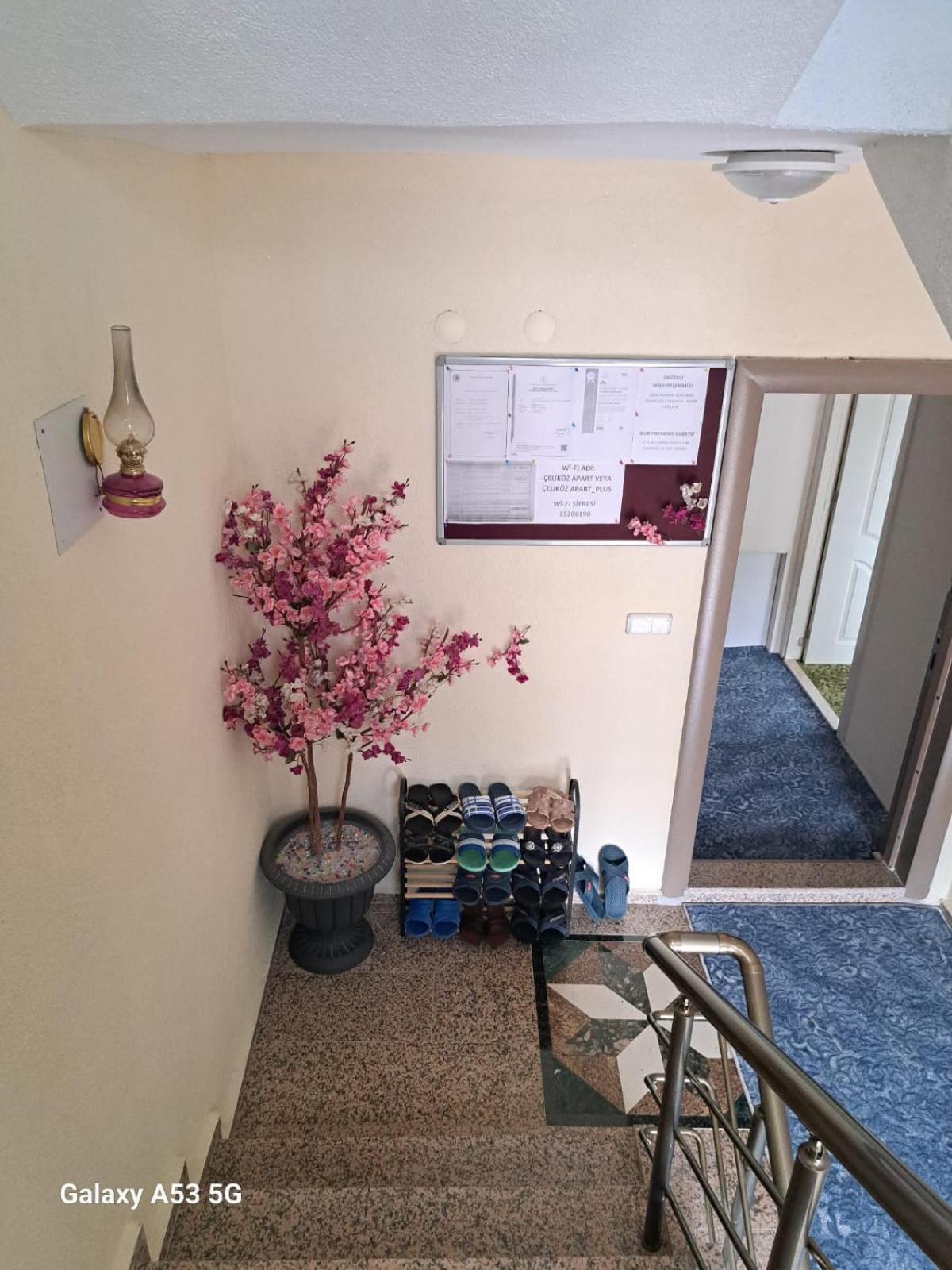 Salda Goelue Celikoez * Yesilova (Burdur)